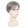 Fancied Hair Short Silver gray Synthetic Hair Wig Mens Male Fleeciness Realistic Wigs2358322