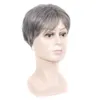 Fancied Hair Short Silver Gray Synthetic Hair Wig Mens 남성 양털 현실적인 Wigs3585609