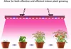 LED-Streifenlichter, volles Spektrum, Wachstumslicht, 5 m/Rolle, 300 LEDs, 5050 Chip, Fitolampy, wasserdicht, für Hydrokultur-Blütenpflanzen im Innengewächshaus