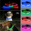 Nouveau collier de chien Led de charge USB Anti-perte/éviter le collier d'accident de voiture pour chiens chiots colliers de chien conduit LED fournitures produits pour animaux de compagnie