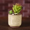 デスクトップ装飾用の氷亀裂セラミック植木鉢カラフルなかわいい植木鉢肉の鉢植えの植物プランター