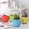 7 * 7cm mini flower pot 5 color round plastic flower groove leak hole design flower pot succulent garden bonsai pot home decoration DC940