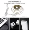 Lumières de bande led USB 1M 2M 3M 4M 5M Bandes lumineuses LED étanches à intensité variable SMD2835 Blanc froid Bande blanche chaude Lumière flexible