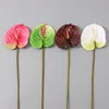 Alta calidad, tamaño grande, tacto real, PU, anthurium suculento, 68 cm de altura, anthurium artificial, flores decorativas para boda