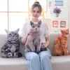 Babique 50cm Simulation Plush Cat Toy Babyows Soft Studed Animals Cushion Cushion Decor Decor Decor Decor Moys Plush For Kids Kids Gift
