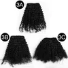 Vmae peruviaanse clip ins 100% maagdelijk menselijk haar 120 g 3a 3b 3c 4a 4b 4c afro kinky krullende clip in hair extensions