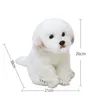 High Quality Maltese Dog Plush Toy Maltese Dog Doll simulation Doll Gift For Kids And Lovers Birthday Gift2800588