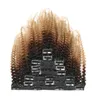 Capelli allineati con cuticola completa Capelli umani di vari colori Clip intera Ombre nelle estensioni dei capelli 1B427 Bionda Riccia crespa9920029