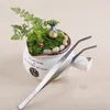 Straight Bend Rostfritt stål Pincett Moss Micro Landskap Ornament Special Trädgårdsredskap DIY ZAKKA Fairy Garden Bonsai Craft Tools