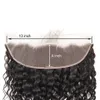 Brazilian Water wave 13x4 Lace Frontal Natural Wave Closures Part 100 Unprocessed Virgin Human with Baby hair ship2623692
