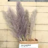 20st Lot Color Dried Plants Pampas Grass Natural Phragmites Communis Decoration for Home Wedding Flower Bunch 56-60cm Tall1281m