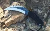 1Pcs Outdoor Survival Karambit Knife High Carbon Steel Satin Blade Full Tang Paracord Handle Fixed Blade Claw Knives