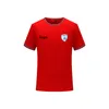Izrael piłka nożna Nowy styl Niestandardowy piłka nożna Polo Men039s Slim Fit Golf Polo Tshirt Men039s Tshirt Sleeve Polo Shirt4389312