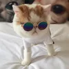 Lunettes de chat pour animaux de compagnie lunettes de soleil classiques rétro circulaires élégantes pour chiens