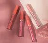 New Arrival Handaiyan 12 Kolor Długotrwałe Wodoodporne Matte Matty Ciecz Szminka Makijaż Lip Gloss 144PCS / LOT DHL