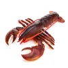 Simulazione classica Oceano Vita marina Animali Aragosta spinosa Action Figures Palinuridae Giocattoli modello educativo per bambini