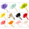 50pcs/lote ramificação longa Flores secas naturais Flores de pelúcia colorida artificial