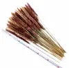 Натуральная сушеная пампасная трава Phragmites Communis Reed, свадебный букет цветов высотой 24 дюйма для домашнего декора241i