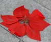 Red 100P Dia.20cm / 7.87 "Sztuczna symulacja Jedwabna Poinsettia Boże Narodzenie Kwiat Dekoracyjne Kwiaty 200 sztuk