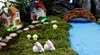 イースターミニバニー装飾ホワイトウサギの大きな耳のウサギの苔マイクロ景観樹脂妖精の庭の飾り家のためのイースターの贈り物
