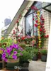 Nueva pérgola de hierro para jardín, soporte de flores, arco de Metal, marco de escalada verde, estante de lufa, estante de ratán de uva