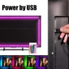 Новизное освещение 5050 DC 5V RGB Светодиодная полоса Водонепроницаемость 60 -й USB светодиодные полоски Гибкая неоновая лента 50 см Добавить пульт для телевизора