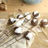 10st Artificial White Cotton Branch Artificial Flower Head Diy Natural Dry Cotton Stalk Farm Decoration12967580