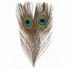 10pcs naturais de pavão naturais cauda pena do feriado de casamento decoração do partido apêndice jóias decoração grandes olhos de transporte (25-30cm) US