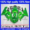 Lichaam voor Kawasaki ZX-600 ZX 6R 600CC 6 R ZX636 2005 2006 210MY.59 ZX-636 600 CC ZX6R 05 06 ZX600 ZX 636 ZX-6R 05 06 Pearl Green Fairing