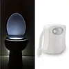 SXI Toliet Human Body Auto Motion Activated Sensor Seat Lights with 8 different colors led induction night light
