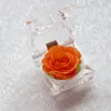 Party Supplies Handgjorda Konserverade Fresh Rose Upscale Immortal Flowers Presenter till Moder Dag Alla hjärtans dag Bröllop