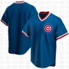 9 Javier Baez 2020 Treinamento de Primavera Jersey Anthony Rizzo Kris Bryant Kyle Schwarber Ben Zobrista Ernie Banks Willson Contreras