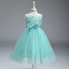 パーティーと結婚式の王女の子供の卒業ガウンボールvestido de Festa Infantilの女の子の花のドレス