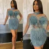 2020 Sexy Mini Prom Dresses High Collar Sheer Long Sleeve Fur Evening Dress Backless Short Red Carpet Fashions Gowns