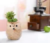 Cartoon Owl-formad blomkruka för succulents köttiga växter blomma kruka keramik liten mini hem / trädgård / kontor dekoration DHL gratis frakt