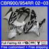 Bodys For HONDA CBR900RR CBR 954 RR CBR954RR 02 03 black white hot CBR900 RR 280HM.54 CBR 900RR CBR954 RR CBR 954RR 2002 2003 Fairing kit