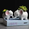 Sırlı fil seramik saksı etli ekici mini hayvan şekli misafir iyilik bonsai ev ve bahçe dekorasyonu