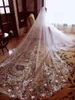 Hot Sale Wedding Bridal Sluiers 2T Cathedral Lengte 3M Lange Star Kant Applique Sluier met gratis Kam