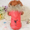 Vêtements d'hiver pour chien de compagnie chien manteau chaud chiot coton veste offre spéciale à capuche chien coton Costumes