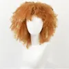 14 Inches Brown Synthetic Curly Wigs for Women 9 Colors Ombre Short Afro Wig African American Natural Black Hair