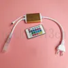 Super Bright AC 220V 5050 RGB LED Neon Sign Belt Tube Strip Light Rope Sign 10mm*20mm PVC IP67 Waterproof Color Changing with Remote Controller Outdoor Culb Decorate