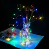 LED-snaren 2M Koper Zilver Draadverlichting Batterij Fairy Light Firefly Lights voor Kerstmis Halloween Home Party Bruiloft Decoratie EUB