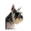 بلينغ حجر الراين الكلب الياقات ربطة العنق كاملة الماس الكلاب اكسسوارات قلادة لجميع الكلاب الياقة للكلاب قطط الحيوانات الأليفة منتجات جديدة