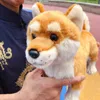 Mini animale shiba inu bambola morbida giocattolo peluche per compagnia per cani akita giocattolo peluche per bambini decorazione regalo 24x30 cm Dy507642086897