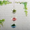 Details over bloemplantwand hangend helder glas vaas Pot Home Garden Ball Decor4644324