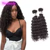 Cheveux humains brésiliens 2 Bundles Deep Wave Virgin Hair Extensions deux pièces One Lot Deep Curly Natural Color