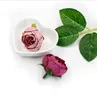 Kamelya Rosa Yüksek Kaliteli Simüle Dekoratif Çiçekler Düğün Sahneleri için Ev Güller Duvar Çiçeği 9 Renkli Seçilen Çay Gül