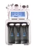 Lager i USA 6 in 1 H2O2 Microdermabrasion RF Dermabrasion Bio-lifting Wrinkle Removal SPA