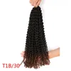 Synthetic Passion Twist Crochet Hair Extension Afro Kinky Curly 18 Inch Long Bohemian Braids 80g/pcs LS06