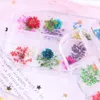 Gedroogde bloemen Nail Decoraties Sieraden Natuurlijke Bloemen Blad Stickers 3D Nail Art Decals Poolse Manicure Accessoires RRA2451